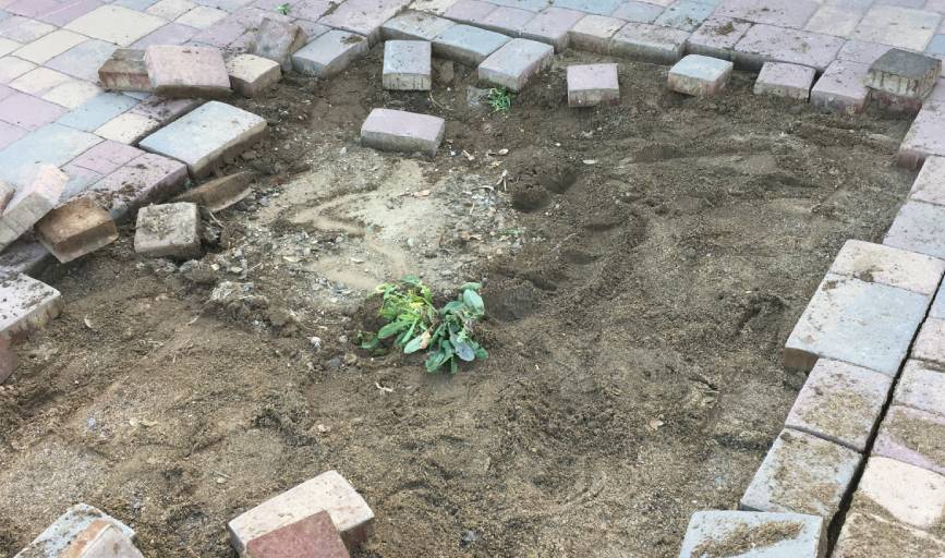 M T Z PAVERS LLC